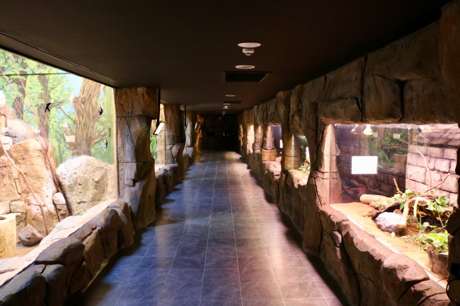 Eskişehir Hayvanat Bahçesi ve Sualtı Dünyası ziyarete hazır