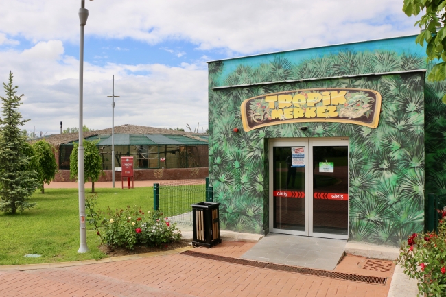 Eskişehir Hayvanat Bahçesi ve Sualtı Dünyası ziyarete hazır