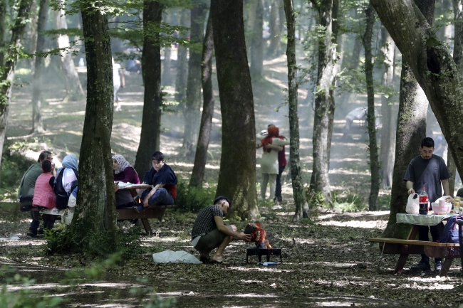 Belgrad Ormanı'nda normalleşme yoğunluğu