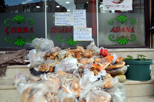 Çöplerden topladığı ekmeklerle kuşları besliyor