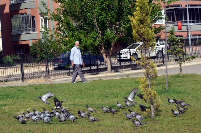 Çöplerden topladığı ekmeklerle kuşları besliyor