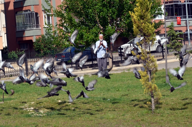 Çöplerden topladığı ekmeklerle kuşları besliyor
