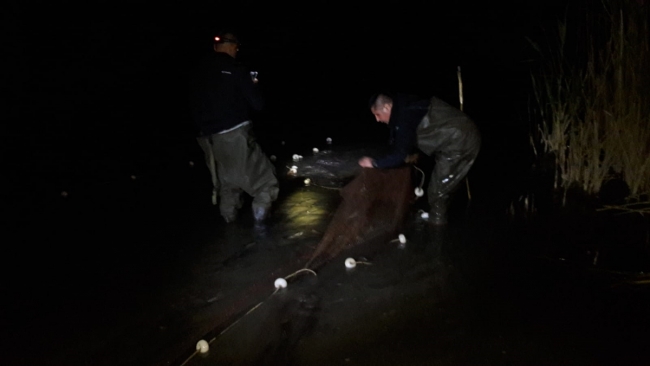 Van'da kaçak avlanılan 5 ton inci kefali suya geri bırakıldı