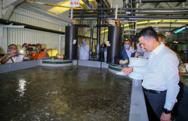 Bakan Pakdemirli: Su ürünleri sektörümüz yara almadan pandemiyi geçti