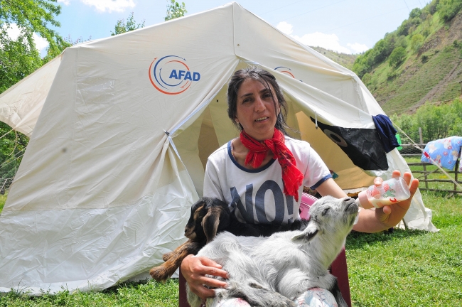 Depremde anneleri telef olan oğlaklar biberonla hayata bağlandı