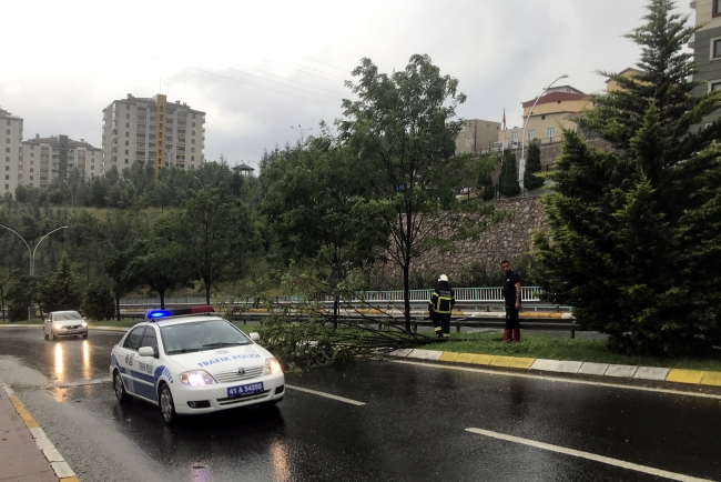 Kocaeli'de sağanak nedeniyle bazı ev ve iş yerlerini su bastı