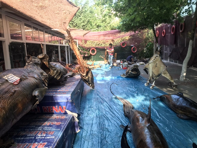 Türkiye'nin tek balıkçılık müzesi ziyaretçilerini bekliyor