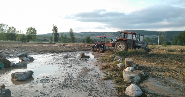 Samsun'da 500 dönüm ekili arazi zarar gördü