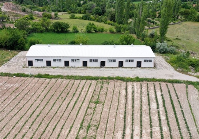 Nallıhan'da ipek böcekçiliği gelişiyor