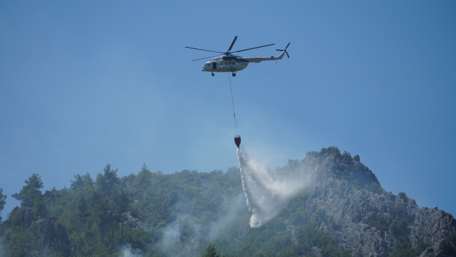 Antalya'daki yangında 3 hektar orman alanı zarar gördü