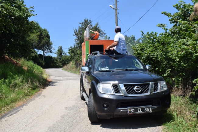 Fındıkta Amerikan beyaz kelebeği ile mücadele çalışmalarına başlandı