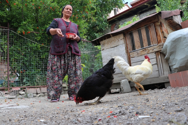 Şehit annesinin onurlu yaşam mücadelesi herkese örnek oluyor