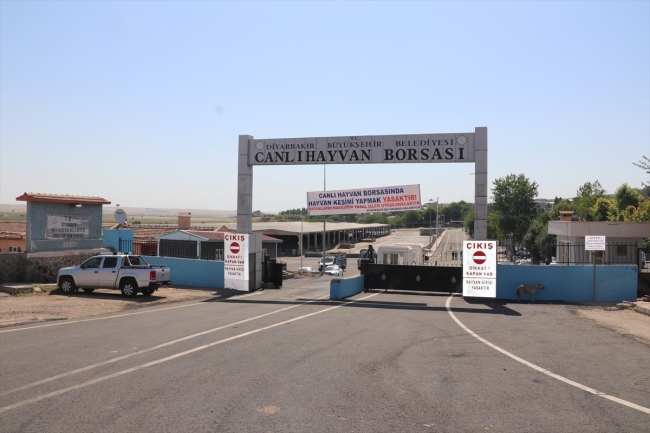 Diyarbakır Canlı Hayvan Borsası yeniden hizmete açıldı