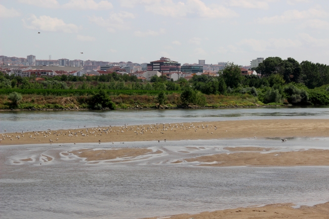 Sıcak hava Meriç Nehri'nin debisini düşürdü