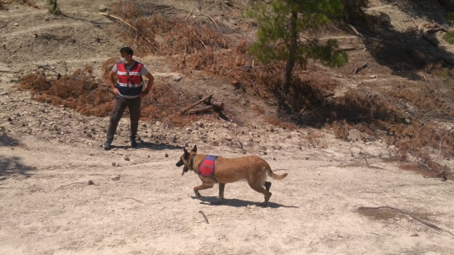 Mersin'de kaybolan yaşlı kadın drone ile aranıyor