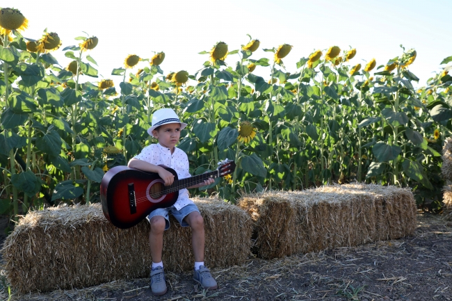 Fotoğraf tutkunları ayçiçeği tarlalarına akın etti