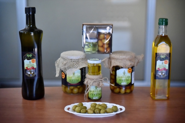 Tescilli zeytinin yağı da coğrafi işaret belgesi yolunda