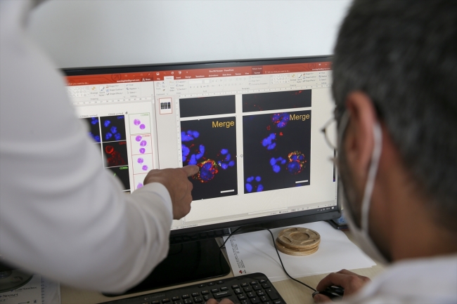 Türk bilim insanları bir antikanser hücresi keşfetti