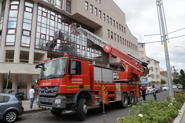 Yuvasından düşen kırlangıç için itfaiye ekipleri seferber oldu