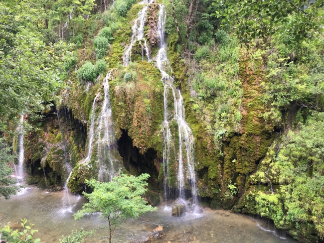 Mavi Göl dünya markası olma yolunda