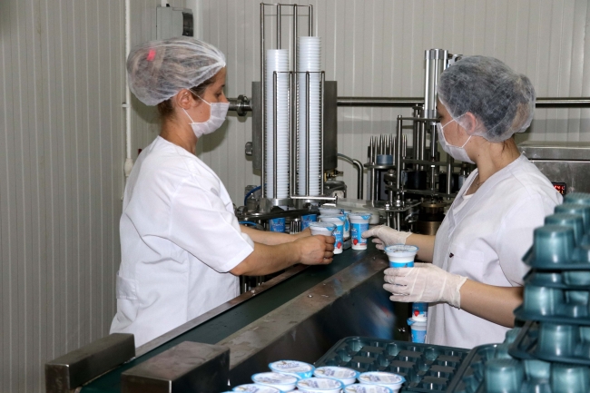 Tonlarca Süt Kadın Eliyle Ekonomiye Kazandırılıyor 1 20200724 2 43592645 56941149