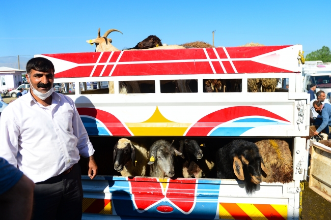 Doğu'nun hayvancılık merkezlerinde Kurban Bayramı yoğunluğu