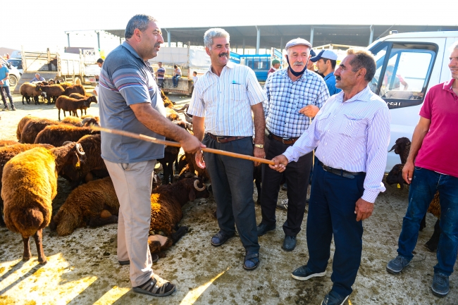 Doğu'nun hayvancılık merkezlerinde Kurban Bayramı yoğunluğu