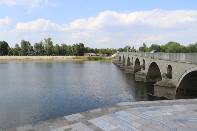 Bulgaristan'da inekler telef oldu, Meriç'ten numune alındı