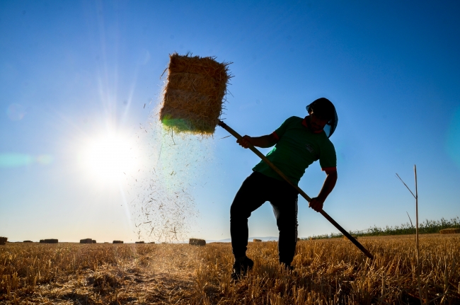 Konya Ovası'nda zorlu ekmek mücadelesi