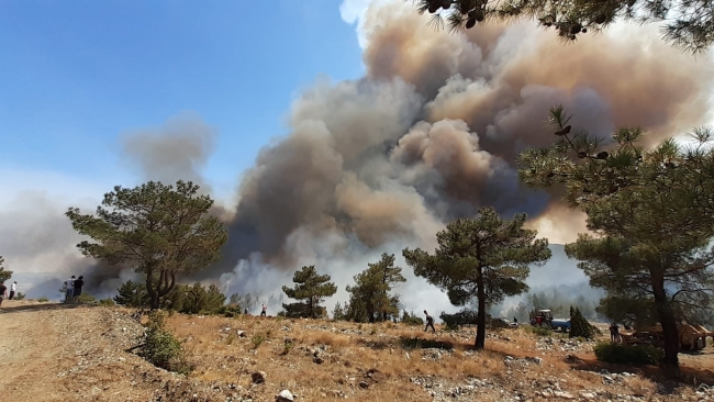Uşak'ın Banaz ilçesinde, 2 farklı noktada çıkan orman yangınlarına müdahale ediliyor. AA