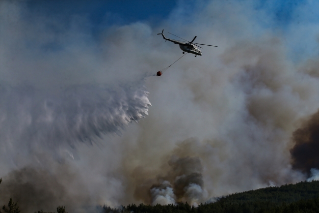 İzmir'deki orman yangını kontrol altına alındı