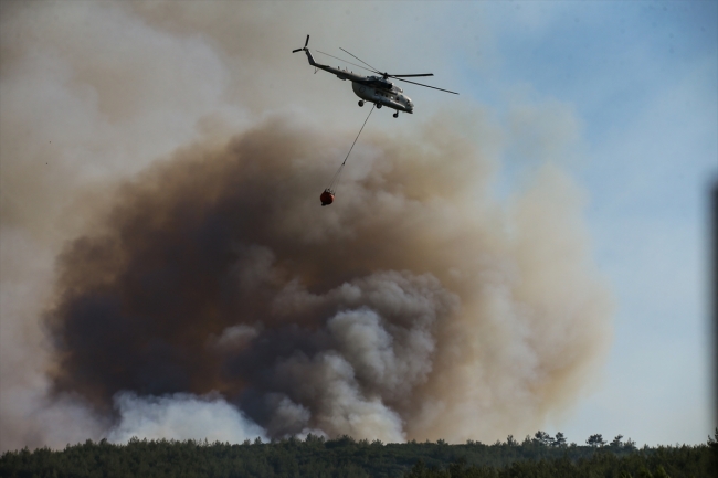 İzmir'deki orman yangını kontrol altına alındı