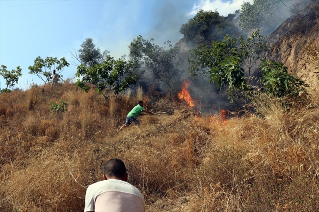 'Bu ağaçlara çok emek verdim, 50 senelik emeklerim gitti'