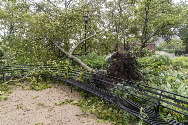ABD'de tropikal fırtınaya dönüşen Isaias Kasırgası 2 can aldı