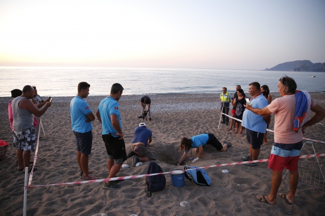Antalya'da caretta caretta yavruları denizle buluştu