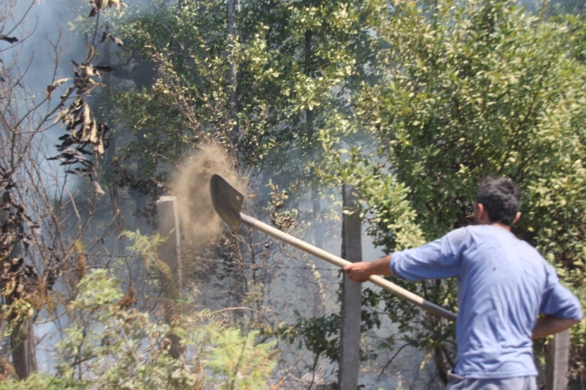 Düzce'de 15 dönüm fındık bahçesi ile 10 dönüm ormanlık alan yandı