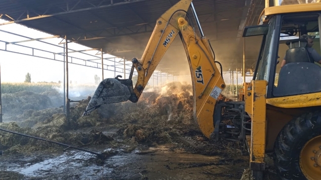 İzmir'de çıkan yangında 40 ton saman küle döndü