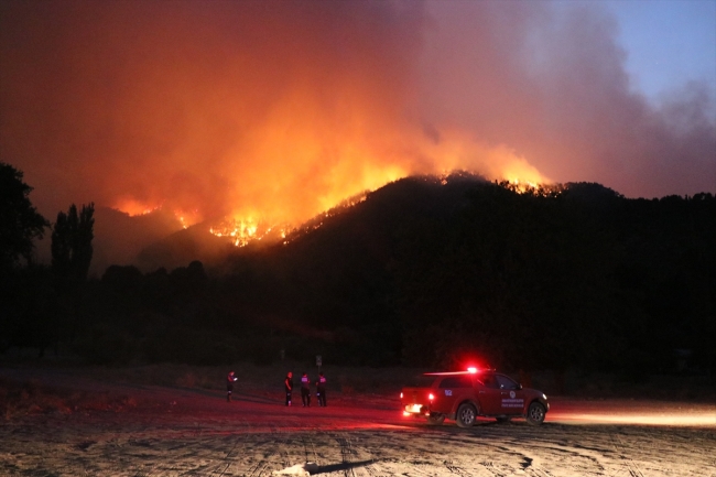 Adana'daki orman yangınına müdahale tekrar başladı