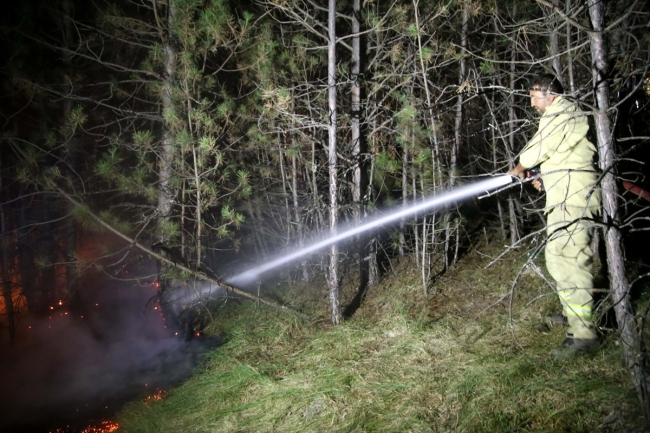 Vatandaşlar seferber oldu, yangın evlere 150 metre kala durduruldu