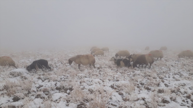 Van'ın yüksek kesimlerine kar yağdı