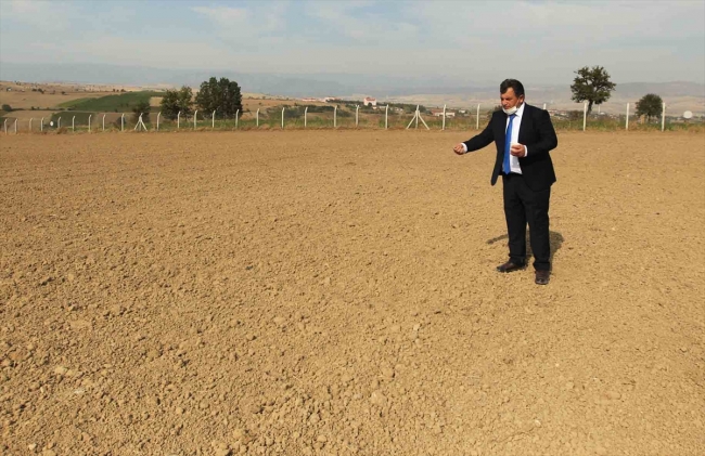 Yerli ve milli liflik keten tohumu 'Yılmaz' toprakla buluştu