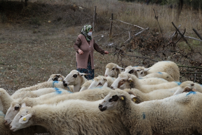 Bakan Pakdemirli'den hayvanları telef olan aileye destek