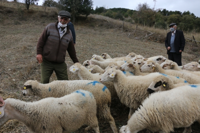 Bakan Pakdemirli'den hayvanları telef olan aileye destek