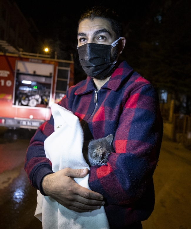 Kedi Cengizhan kız kardeşlerin hayatını kurtardı