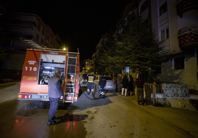 Kedi Cengizhan kız kardeşlerin hayatını kurtardı