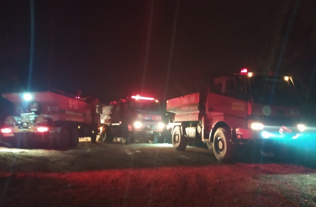 Hatay'da orman yangını çıktı