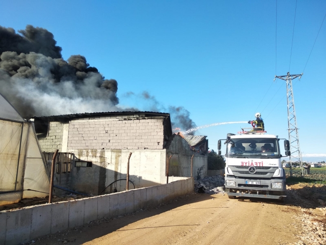 Adana'daki fidede üretim tesisinde çıkan yangın söndürüldü