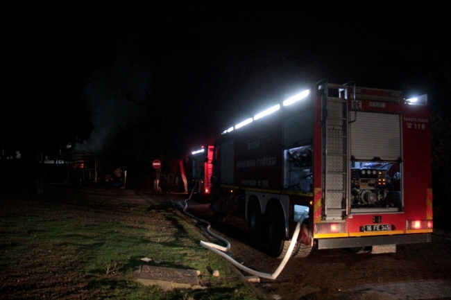 Bursa'da ahırda çıkan yangında 10 at telef oldu