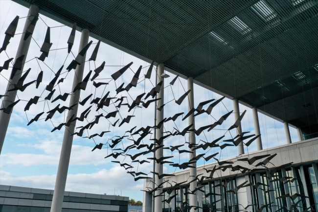 "Yaralarımızı sanat ve bilimle güce dönüştürebiliriz"