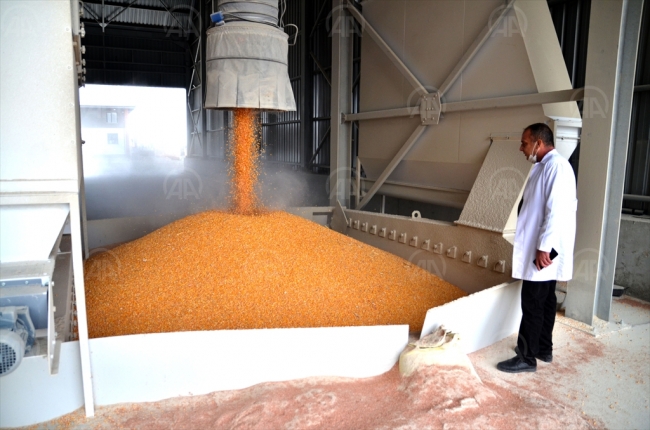 Lisanslı depoculuk sistemi çiftçinin cebini koruyor